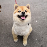 海纳百川