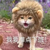苏格