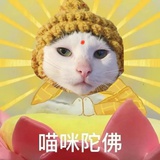 质数的孤独