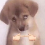 哎呀