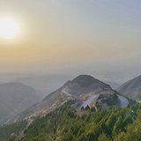 小绿蚁