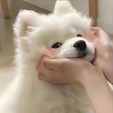 豆友4lgyY01Zdc