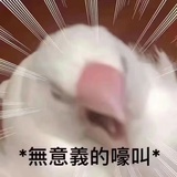 YAN