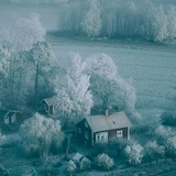 如何成为一只猫