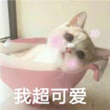 木木木木木