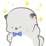 安东尼奥毛
