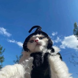 王昊