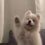 触思