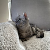 AprilJZ720