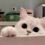 不是豆友