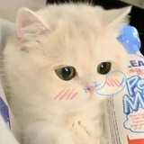 Tttoo