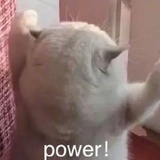 喷火蛙蛙