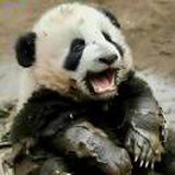 豆友EmUmdEBECw