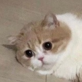北风吹