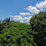醒不来