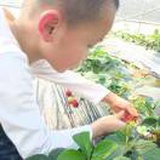 豆友NZK8uhSqZ4