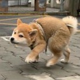younger哈哈哈