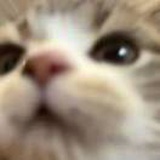 豆友QOpvJvBgp0