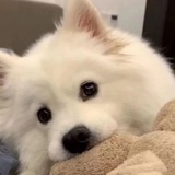 。。
