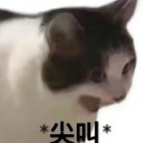厌学悍匪