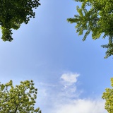 花生仁