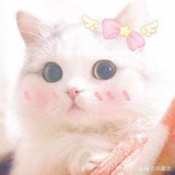 乘物游心❤️