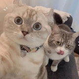 冰蓝梦境