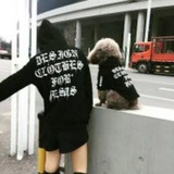 只言片语