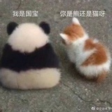嘎嘎嘎