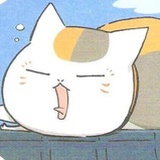懒猫看书