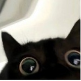聽安