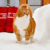 豆友w_acVlzbK8
