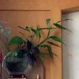 豆友W5Yz2tIDwA