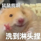 鼠鼠