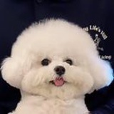 哒鲁鲁
