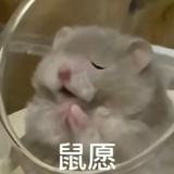 见习爱神moon