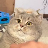 少管
