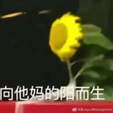 豆友3ff70.1049