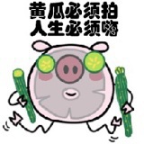 付爽爽