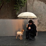 贝拉