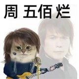 凉ZingZing