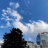 bluesky