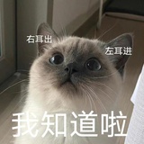 伊诺可