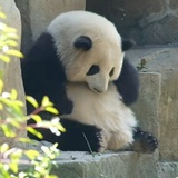 啦啦啦