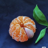 橘外的蒜