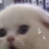 杜