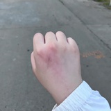 一生所爱