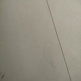 一片绿叶㇏