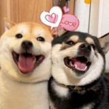 豆友7403046876