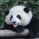 豆友uRyDlbo7T0
